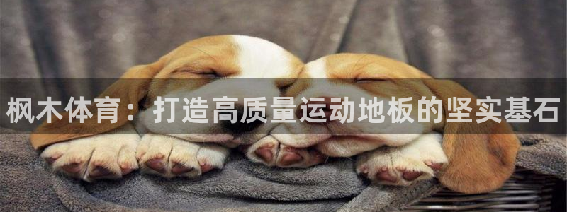 3377体育官方正版app集团官网首页：枫木体育：打