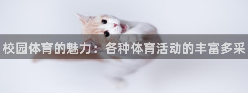 3377体育官方正版app娱乐首页官网下载：校园体育