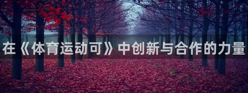 3377体育官方正版app集团官网网址：在《体育运动