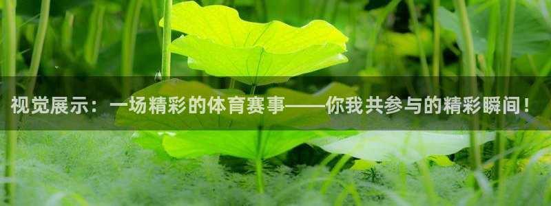 3377体育官网下载平台注册要钱吗安全吗：视觉展示：一场精彩