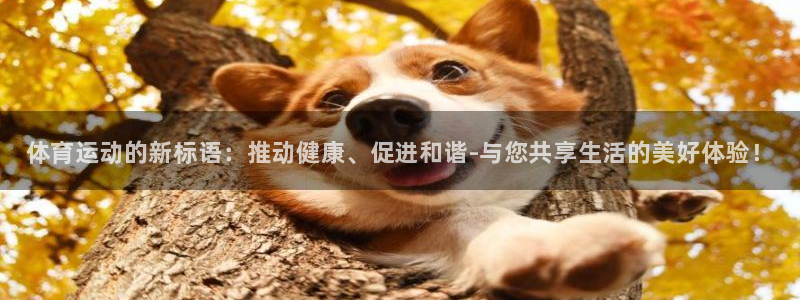 3377体育官网下载平台注册要钱吗：体育运动的新标语：推动健