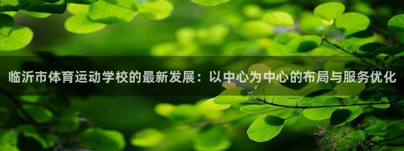 3377体育官网下载平台注册：临沂市体育运动学校的最新发展：