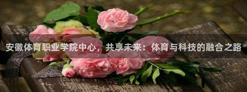 3377体育官方正版app官网：安徽体育职业学院中心