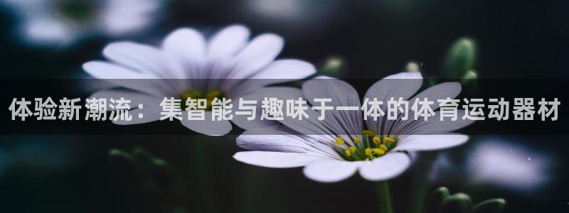 3377体育官网下载招商电话是多少：体验新潮流：集智能与趣味