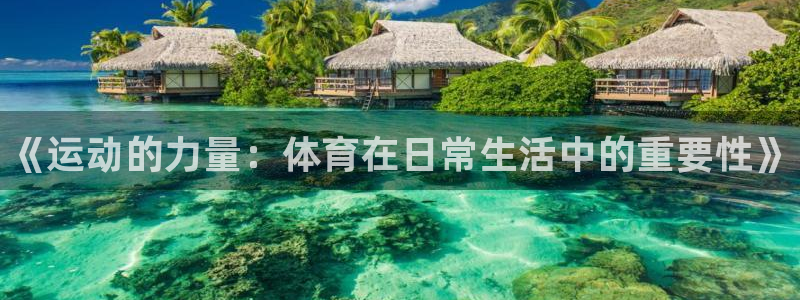 3377体育官方正版app娱乐是那个系列的台子：《运