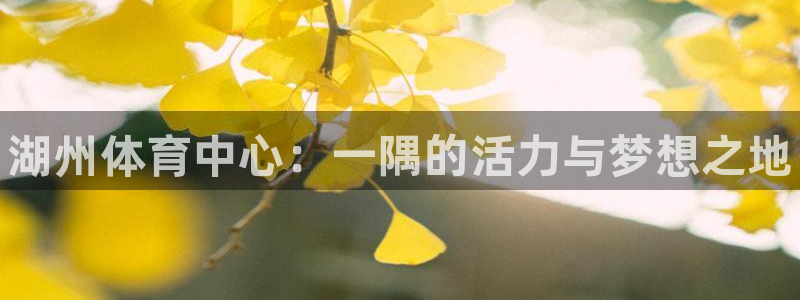 3377体育官网下载招商电话是多少啊：湖州体育中心：一隅的活