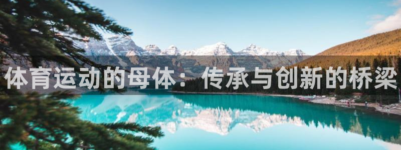 3377体育官方平台体育：体育运动的母体：传承与创新