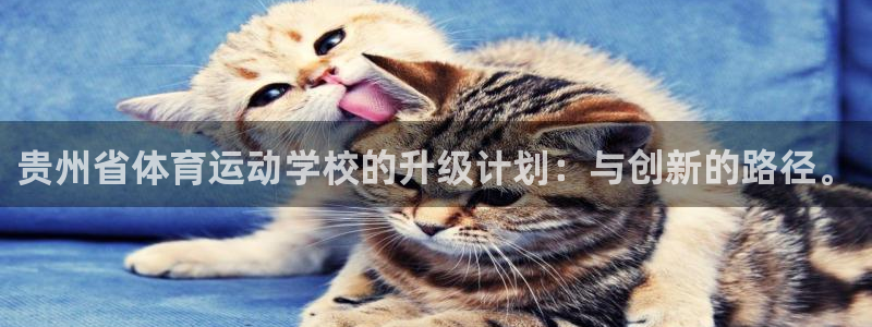 3377体育官方正版app集团logo：贵州省体育运