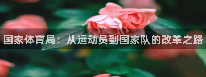 3377体育官方正版app五金厂：国家体育局：从运动