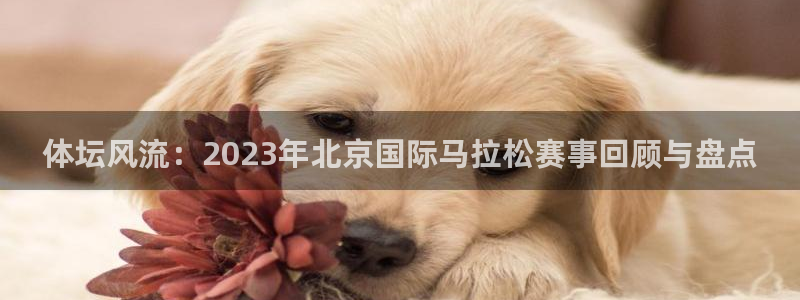 3377体育官网下载软件：体坛风流：2023年北京国