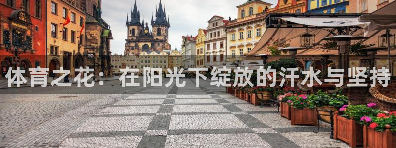 3377体育官网下载：体育之花：在阳光下绽放的汗水与