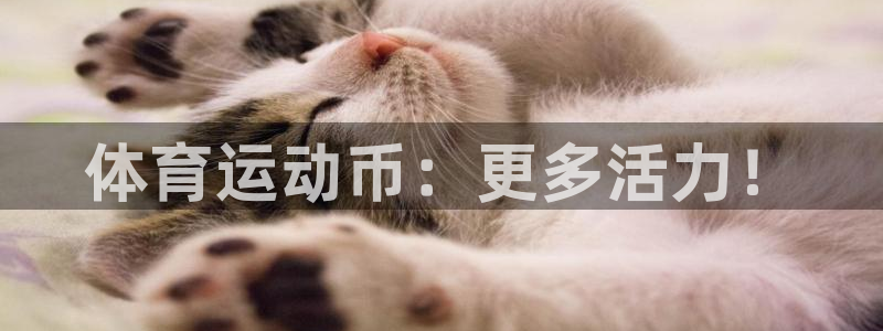 3377体育官网下载平台注册要钱吗是真的吗：体育运动