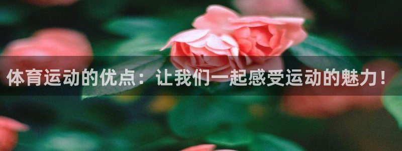 3377体育官方正版app集团logo：体育运动的优