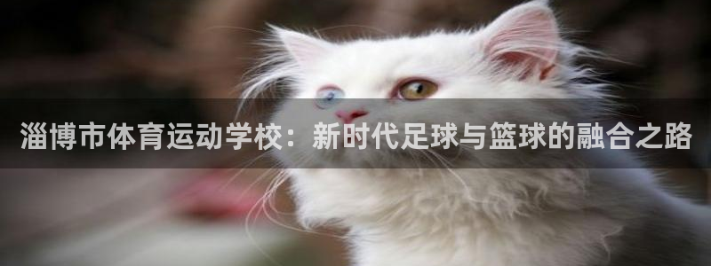 3377体育官网下载招商电话号码是多少啊：淄博市体育