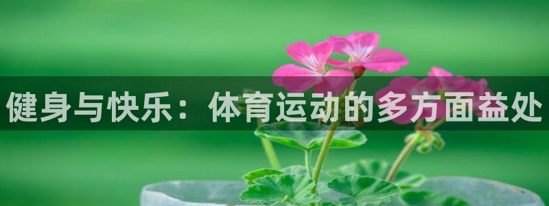 3377体育官方集团官网：健身与快乐：体育运动的多方