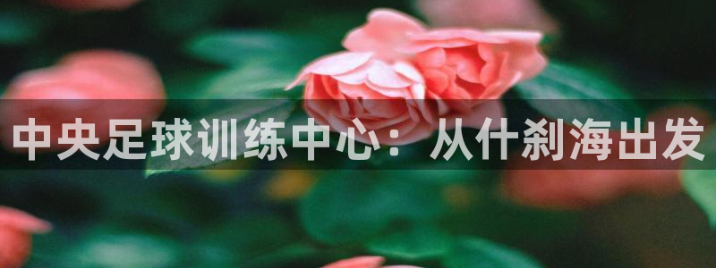 3377体育官方正版app娱乐平台：中央足球训练中心
