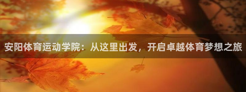 3377体育官方正版app集团官网首页：安阳体育运动