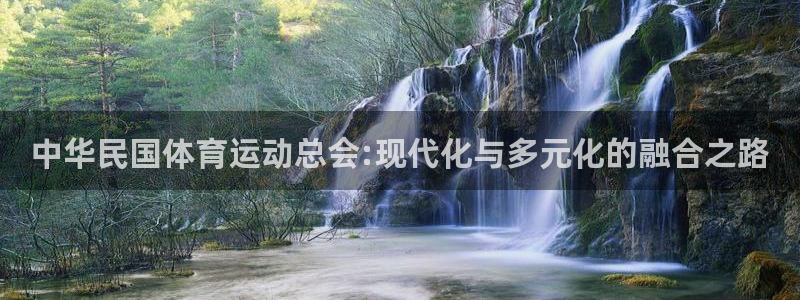 3377体育官网下载招商电话号码：中华民国体育运动总会:现代
