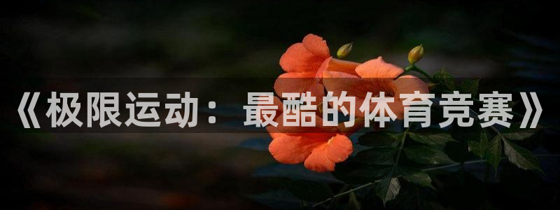 3377体育官网下载：《极限运动：最酷的体育竞赛》