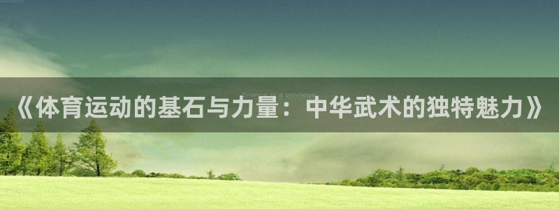 3377体育官网下载平台是正规平台吗知乎：《体育运动