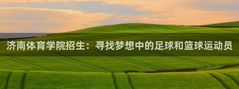 3377体育官网下载平台是正规平台吗安全吗：济南体育