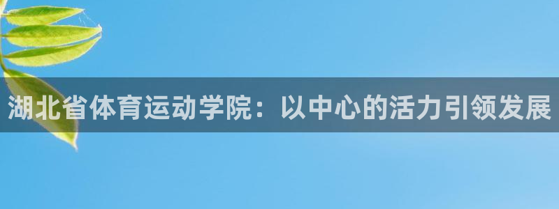 3377体育官方正版app集团简介：湖北省体育运动学