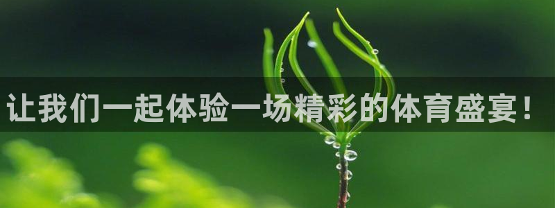 3377体育官方正版app娱乐下载：让我们一起体验一