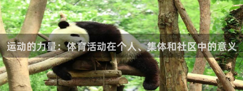 3377体育官方正版app集团E.ON：运动的力量：