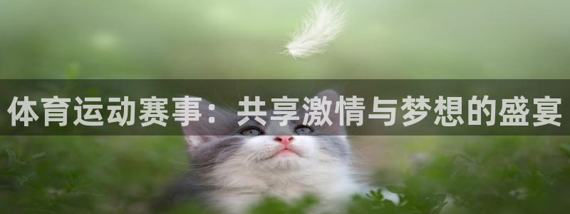 3377体育官方正版app科技：体育运动赛事：共享激情与梦想