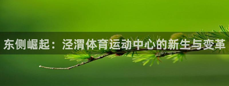 3377体育官方正版app娱乐40996：东侧崛起：泾渭体育