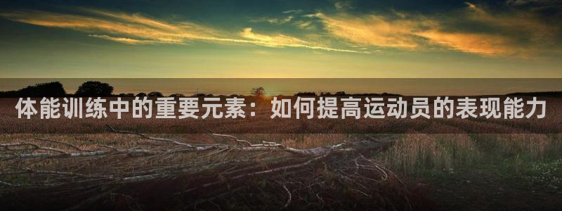 3377体育官方正版app娱乐平台：体能训练中的重要元素：如