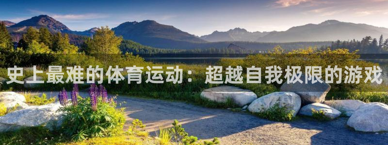 德国3377体育官方正版app集团