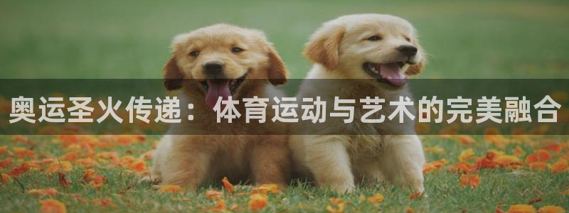 3377体育被国家取消了吗今天