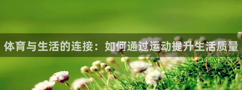 3377体育骗了多少人
