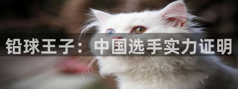 3377体育十大必吃榜：铅球王子：中