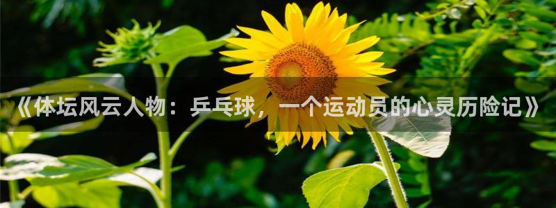  3377体育出款正常不：《体坛风云人物：乒乓球，一个运动员的