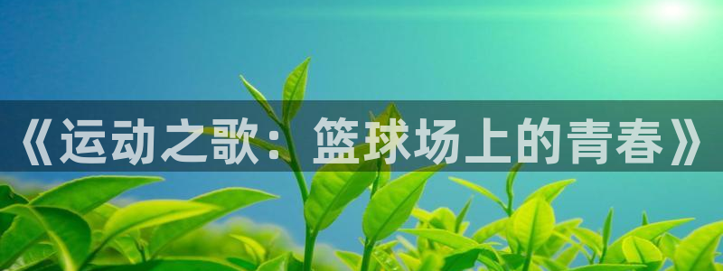3377体育是割韭菜平台吗知乎：《运动之歌：篮球场上的青春》