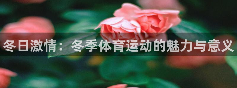  3377体育app官网下载地址：冬日激情：冬季体育运动的魅力