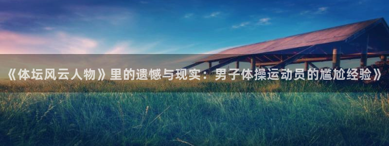  3377体育在线官网：《体坛风云人物》里的遗憾与现实：男子体