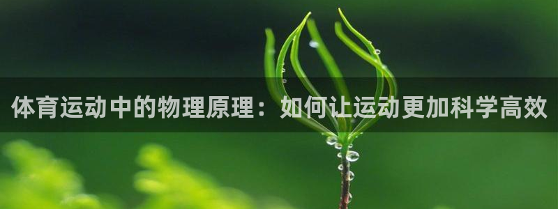 3377体育什么台子：体育运动中的物理原理：如何让运动更加科