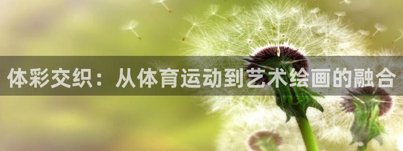3377体育被国家取消了吗今天：体彩交织：从体育运动到艺术绘