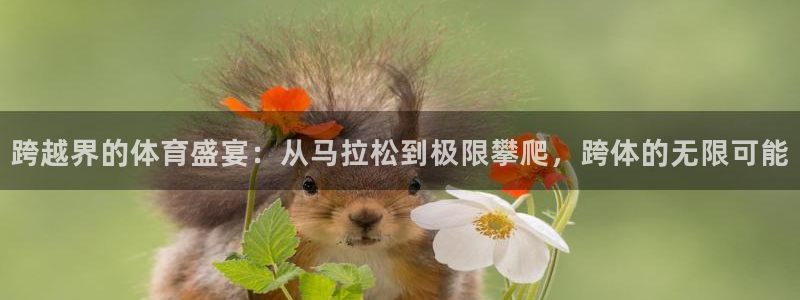 3377体育犯法吗：跨越界的体育盛宴：从马拉松到极限攀爬，跨