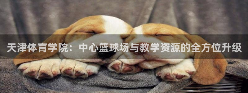 3377体育官网：天津体育学院：中心篮球场与教学资源的全方位