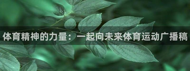 3377体育在线官网：体育精神的力量